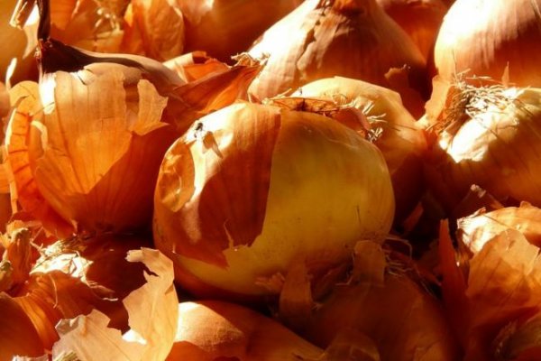 Как зайти на кракен через браузер