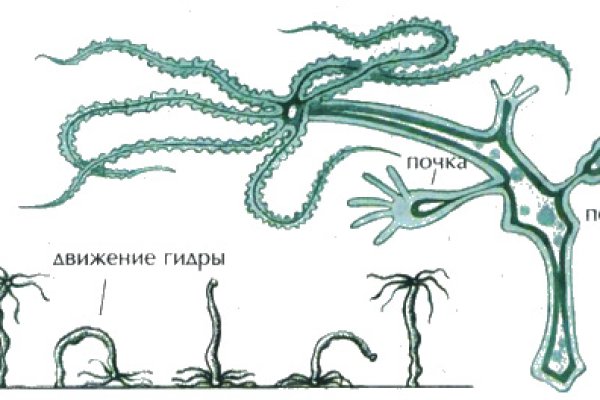 Что такое кракен сайт