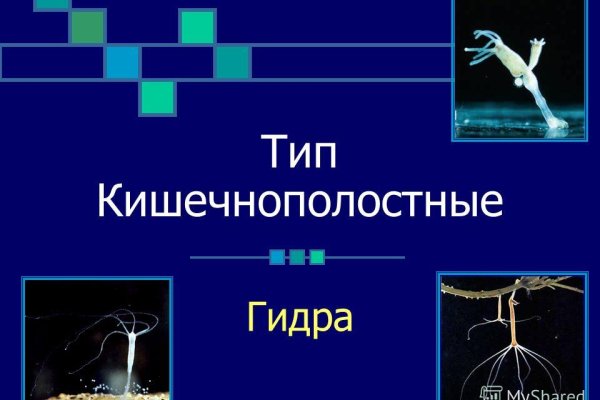 Что такое кракен маркетплейс в россии